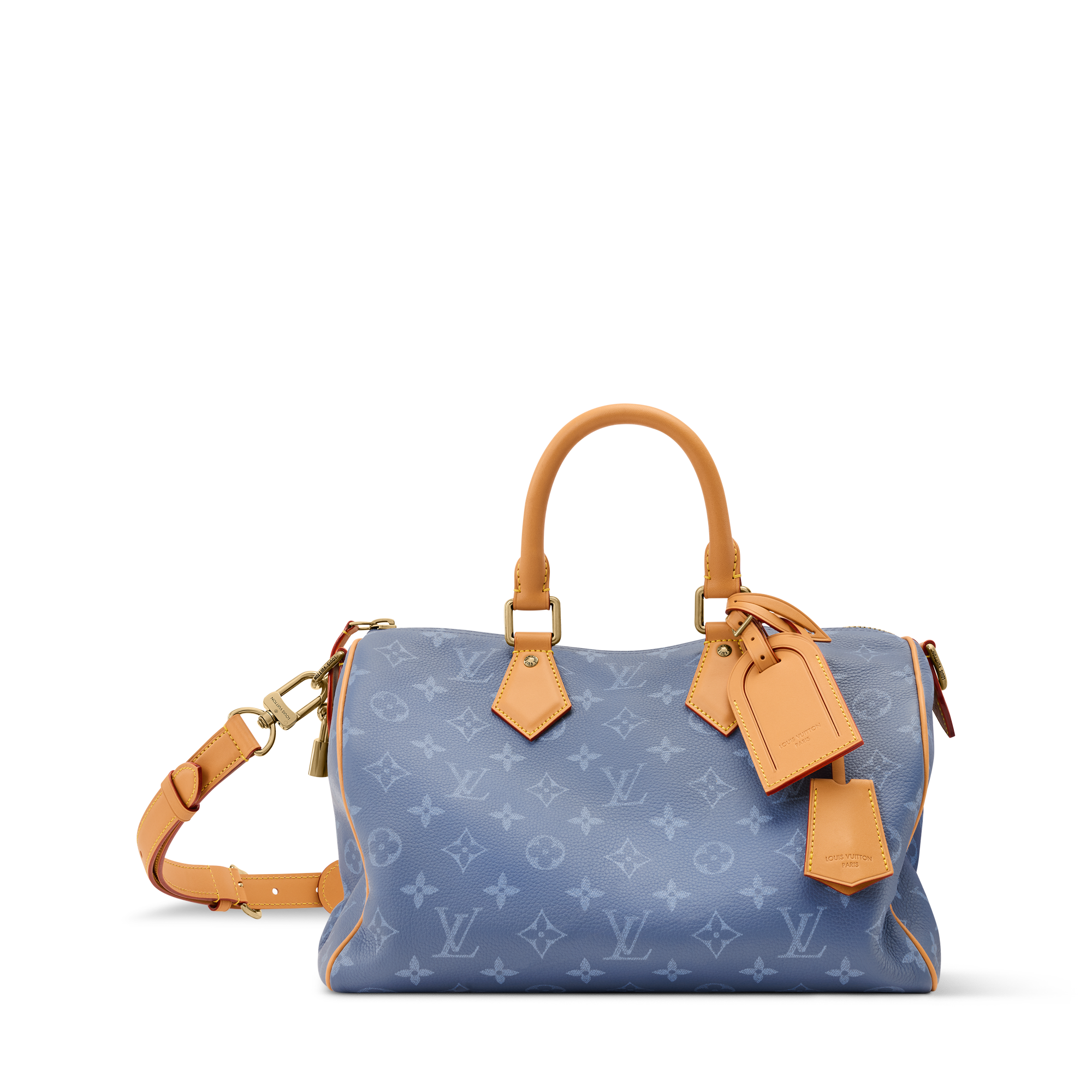 Speedy P9 Bandoulière 30 H40 - Les Extraordinaires - Leather Goods